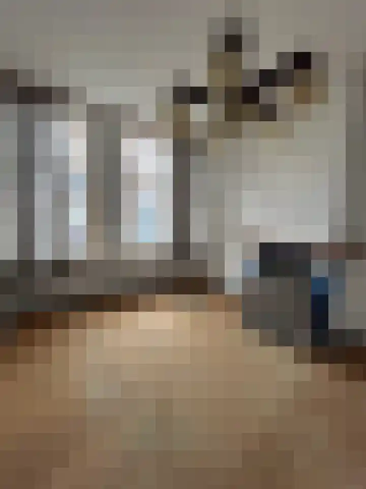 Scheepstimmerdijk 69 Zierikzee thumbnail 6