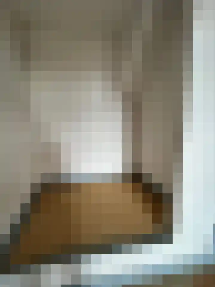 Scheepstimmerdijk 69 Zierikzee thumbnail 7