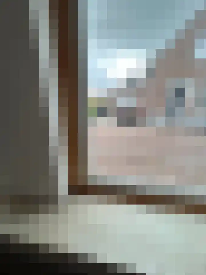 Scheepstimmerdijk 69 Zierikzee thumbnail 8