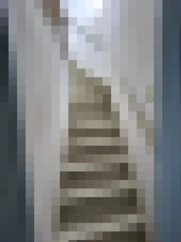 Scheepstimmerdijk 69 Zierikzee thumbnail 9