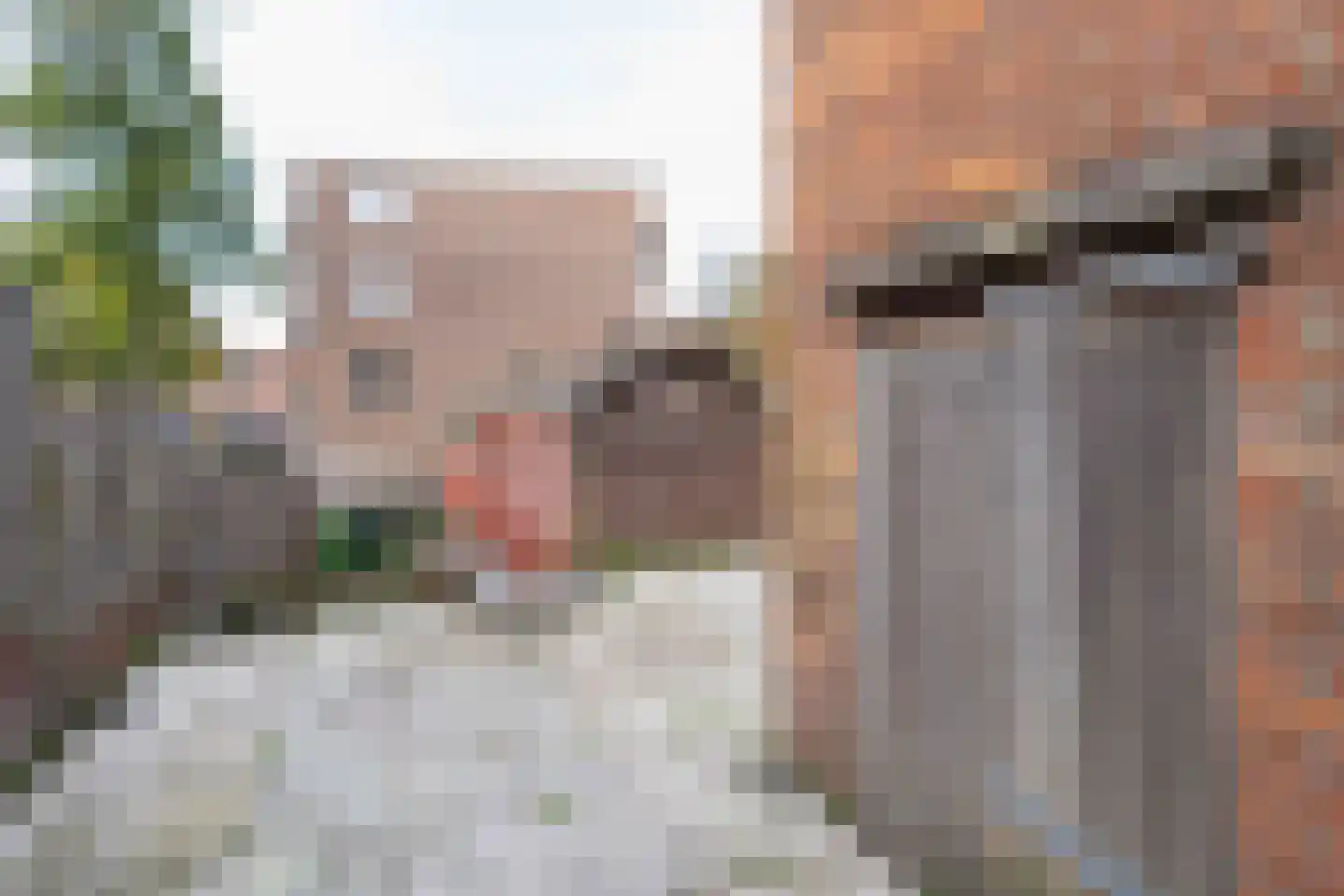 Scheepstimmerdijk 73 Zierikzee thumbnail 21