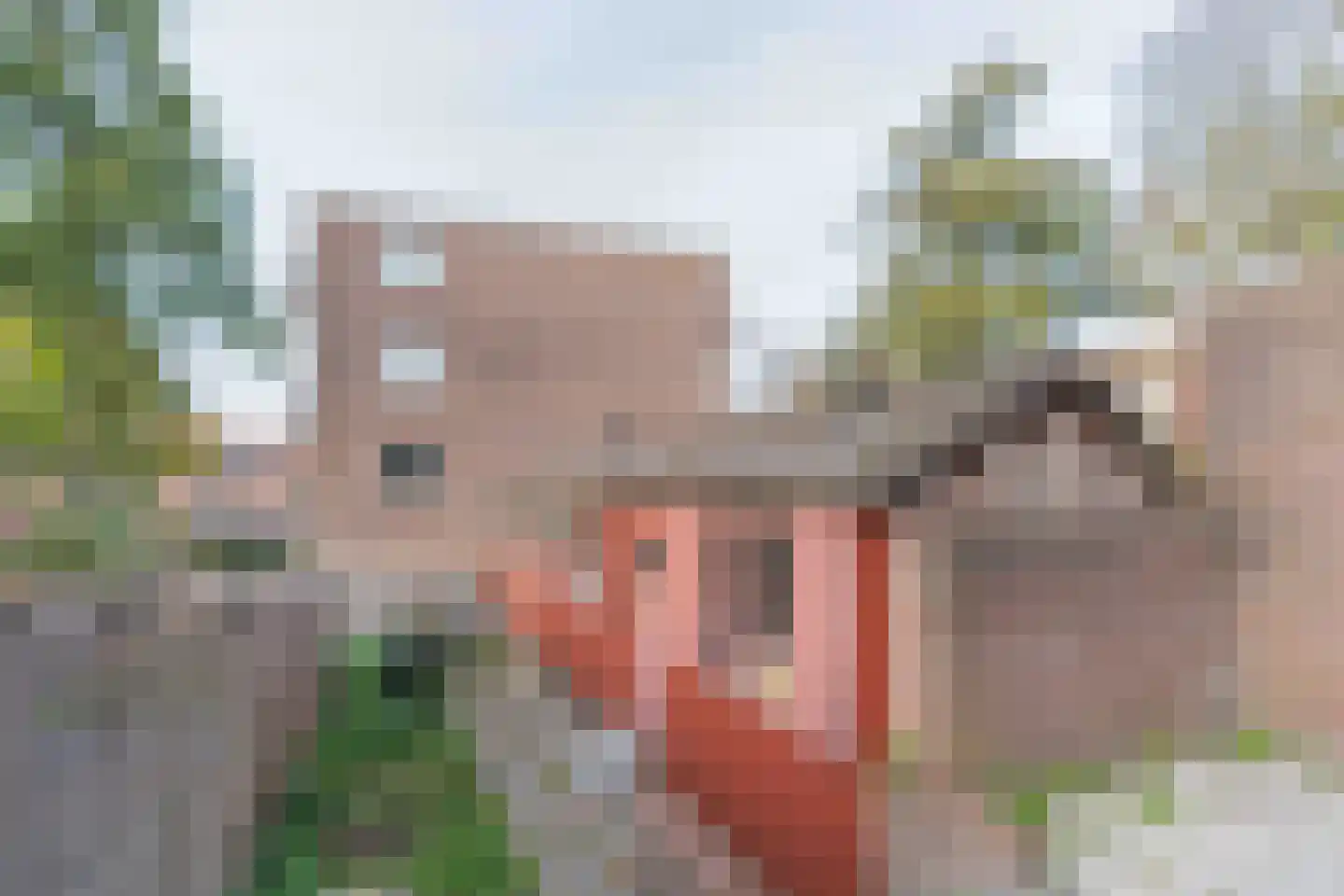 Scheepstimmerdijk 73 Zierikzee thumbnail 24