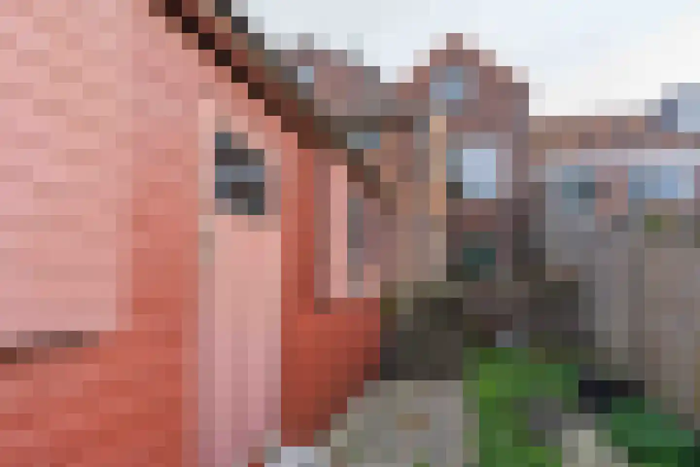 Scheepstimmerdijk 73 Zierikzee thumbnail 25