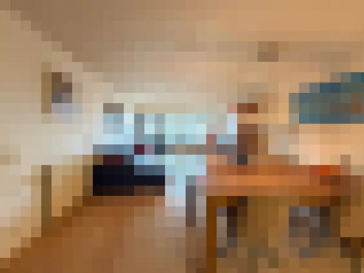 Scheepstimmermanslaan 16 Rotterdam thumbnail 4