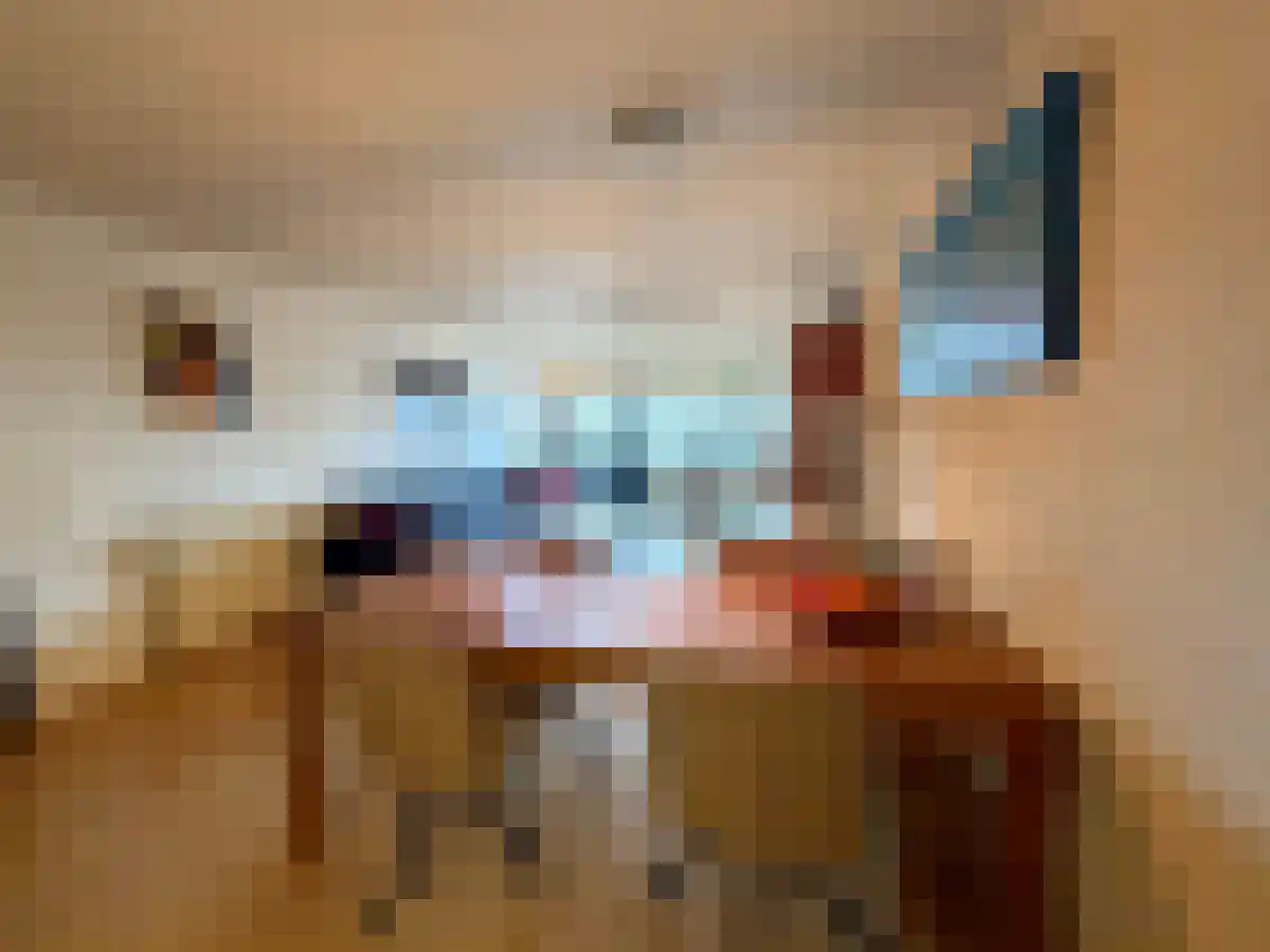 Scheepstimmermanslaan 16 Rotterdam thumbnail 5