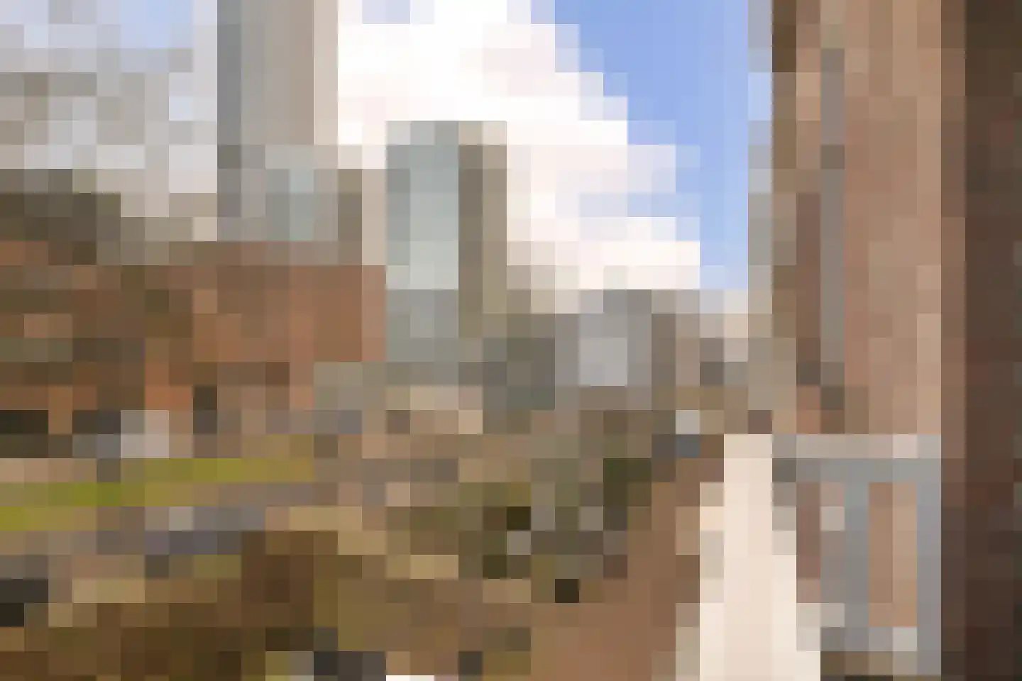 Scheepstimmermanslaan 21 B 01 Rotterdam thumbnail 15