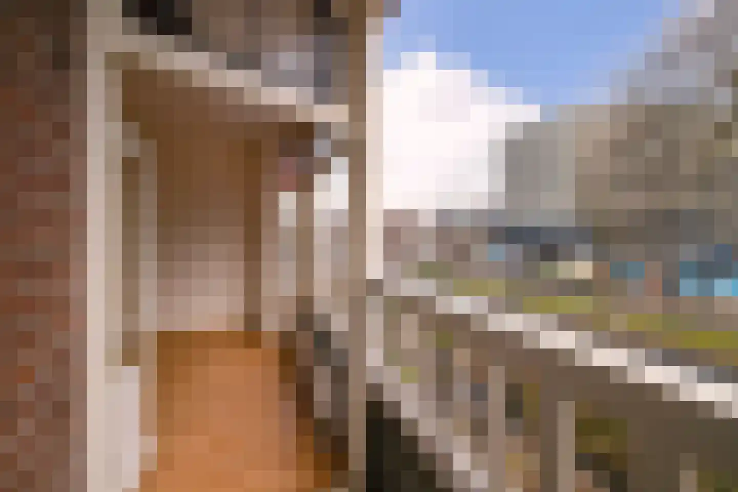 Scheepstimmermanslaan 21 B 01 Rotterdam thumbnail 16