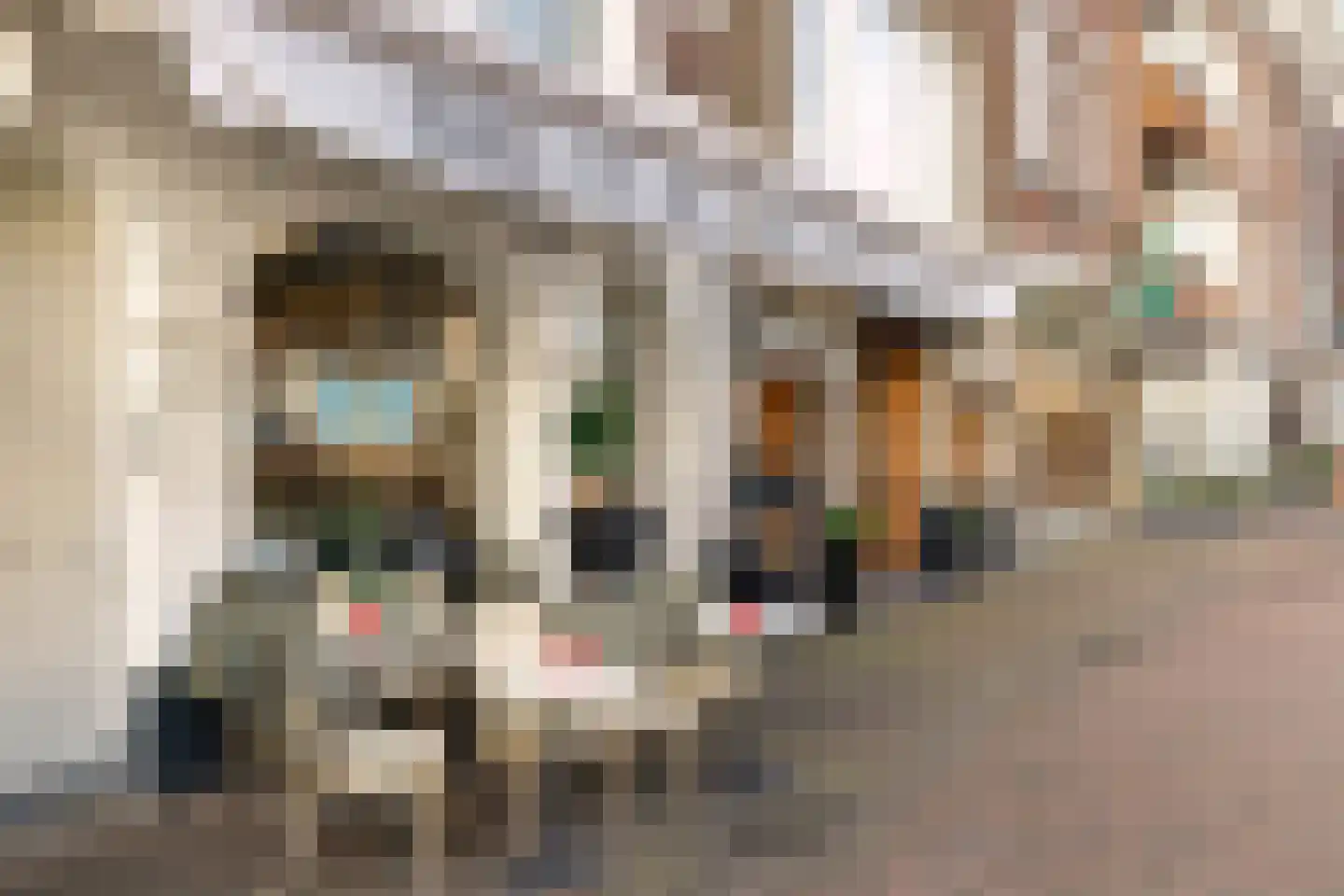 Scheepstimmermanslaan 21 B 01 Rotterdam thumbnail 36