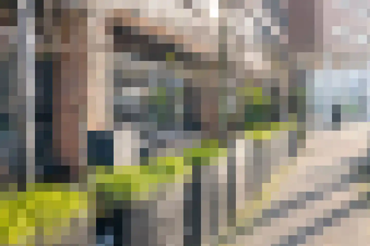 Scheepstimmermanslaan 21 B 01 Rotterdam thumbnail 40