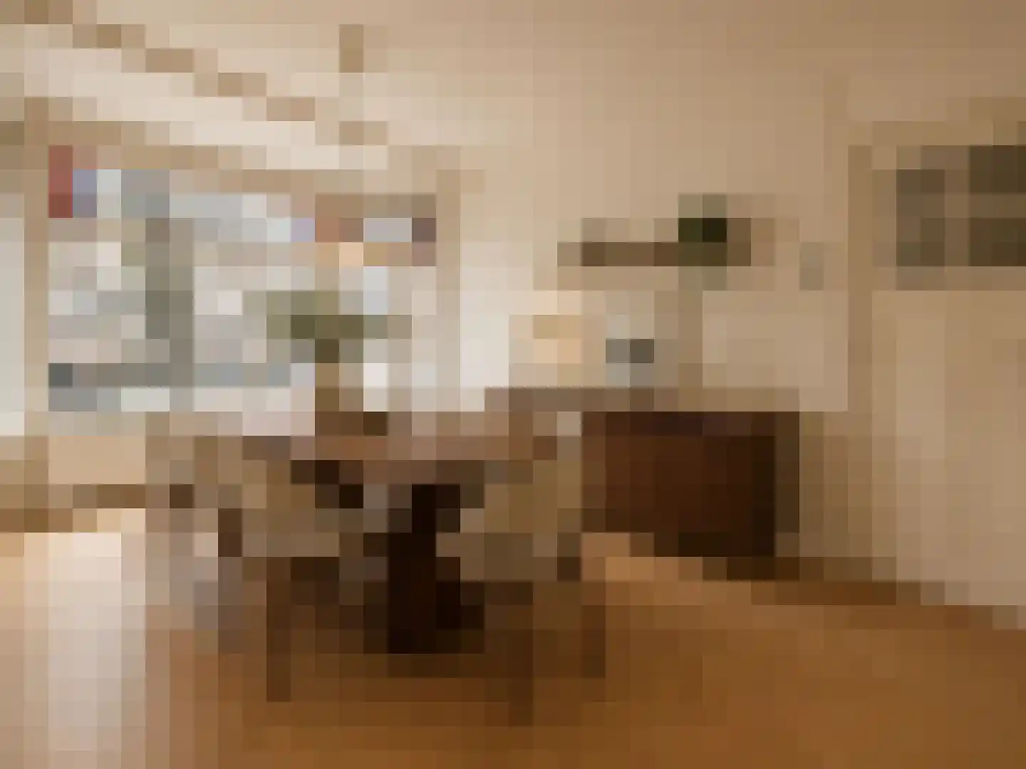 Scheepstimmermanslaan 21 B 01 Rotterdam thumbnail 8