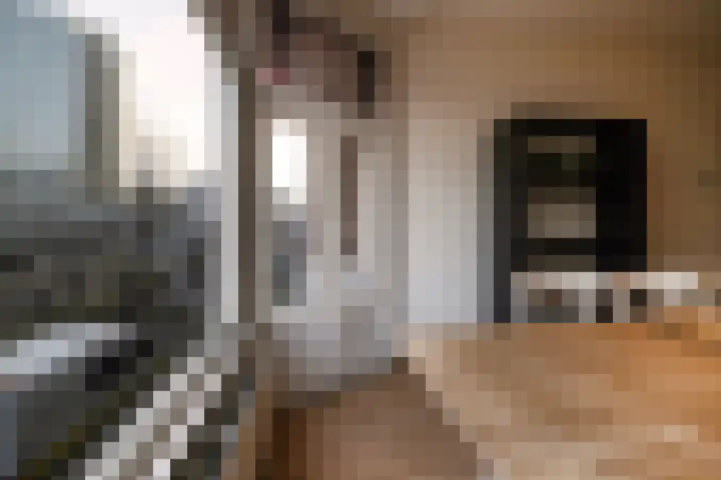 Scheepstimmermanslaan 21 B 03 Rotterdam thumbnail 10
