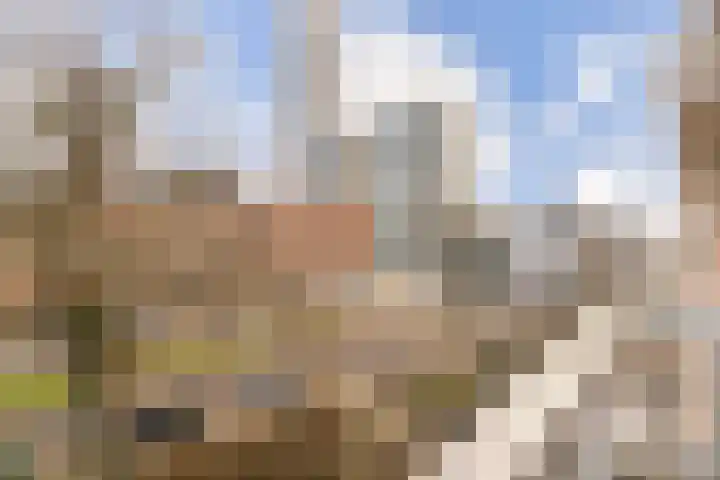 Scheepstimmermanslaan 21 B 03 Rotterdam thumbnail 11