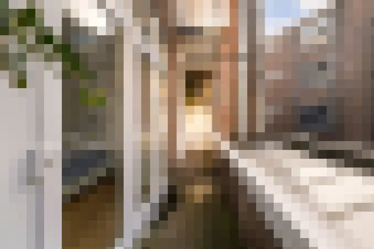 Scheepstimmermanslaan 21 B 03 Rotterdam thumbnail 20