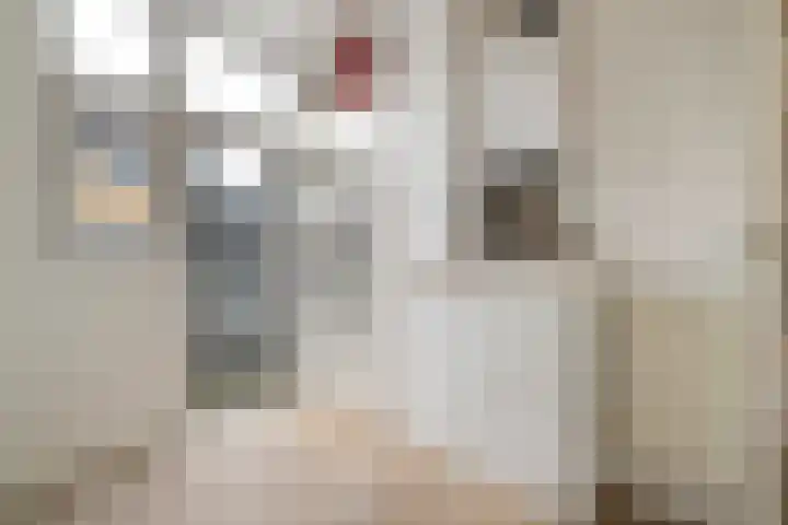 Scheepstimmermanslaan 21 B 03 Rotterdam thumbnail 24