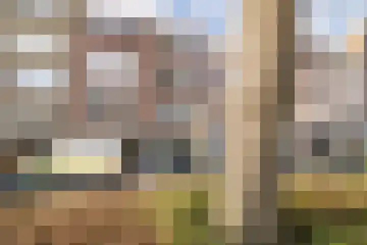 Scheepstimmermanslaan 21 B 03 Rotterdam thumbnail 29