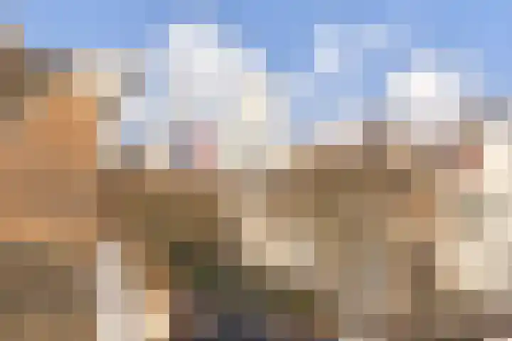 Scheepstimmermanslaan 21 B 03 Rotterdam thumbnail 39