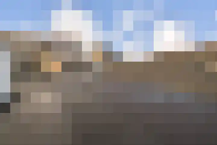 Scheepstimmermanslaan 21 B 03 Rotterdam thumbnail 42