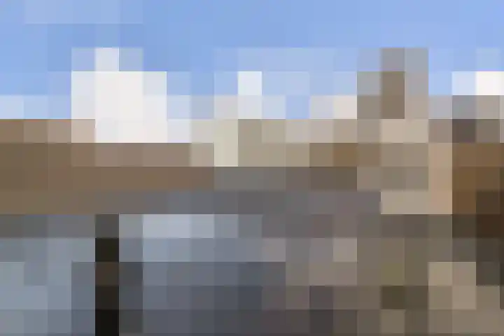 Scheepstimmermanslaan 21 B 03 Rotterdam thumbnail 45