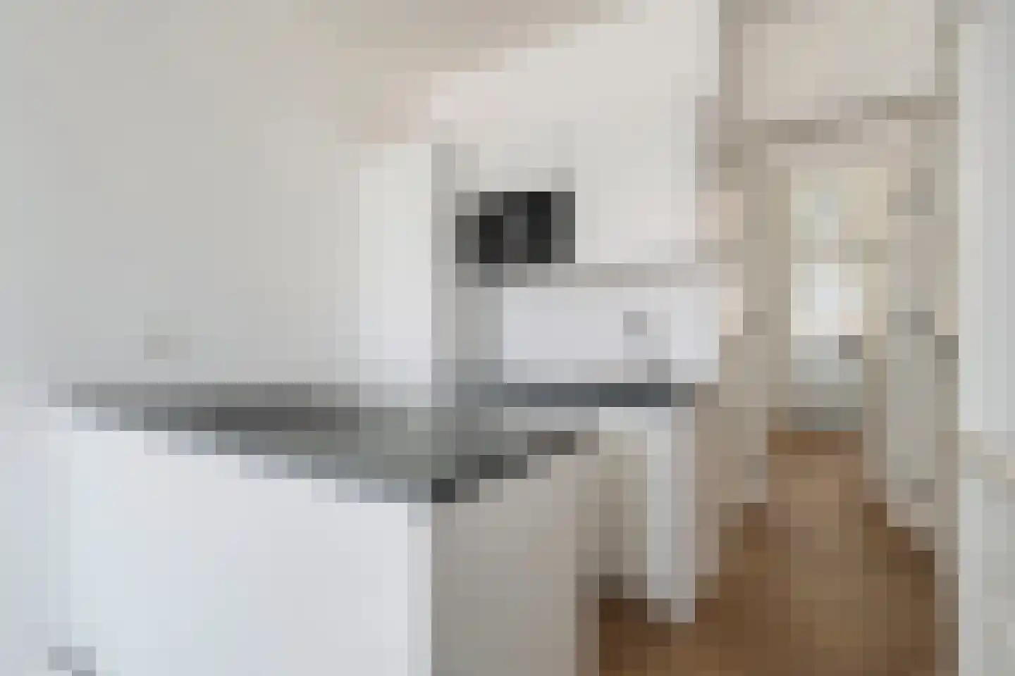 Scheepstimmermanslaan 3 B Rotterdam thumbnail 7
