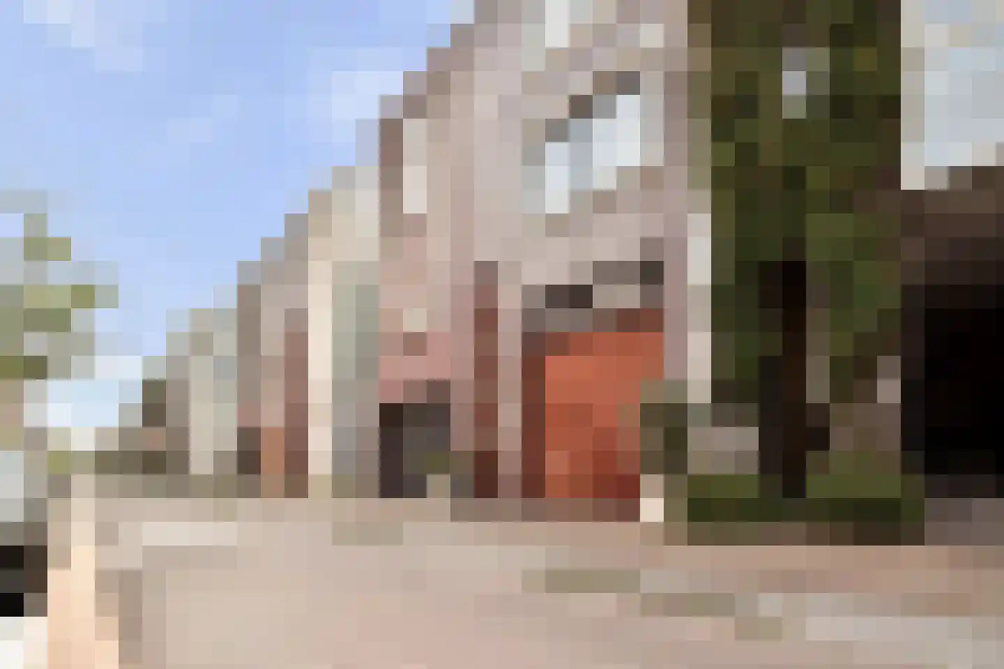 Scheepstimmermanstraat 22 Amsterdam thumbnail 4