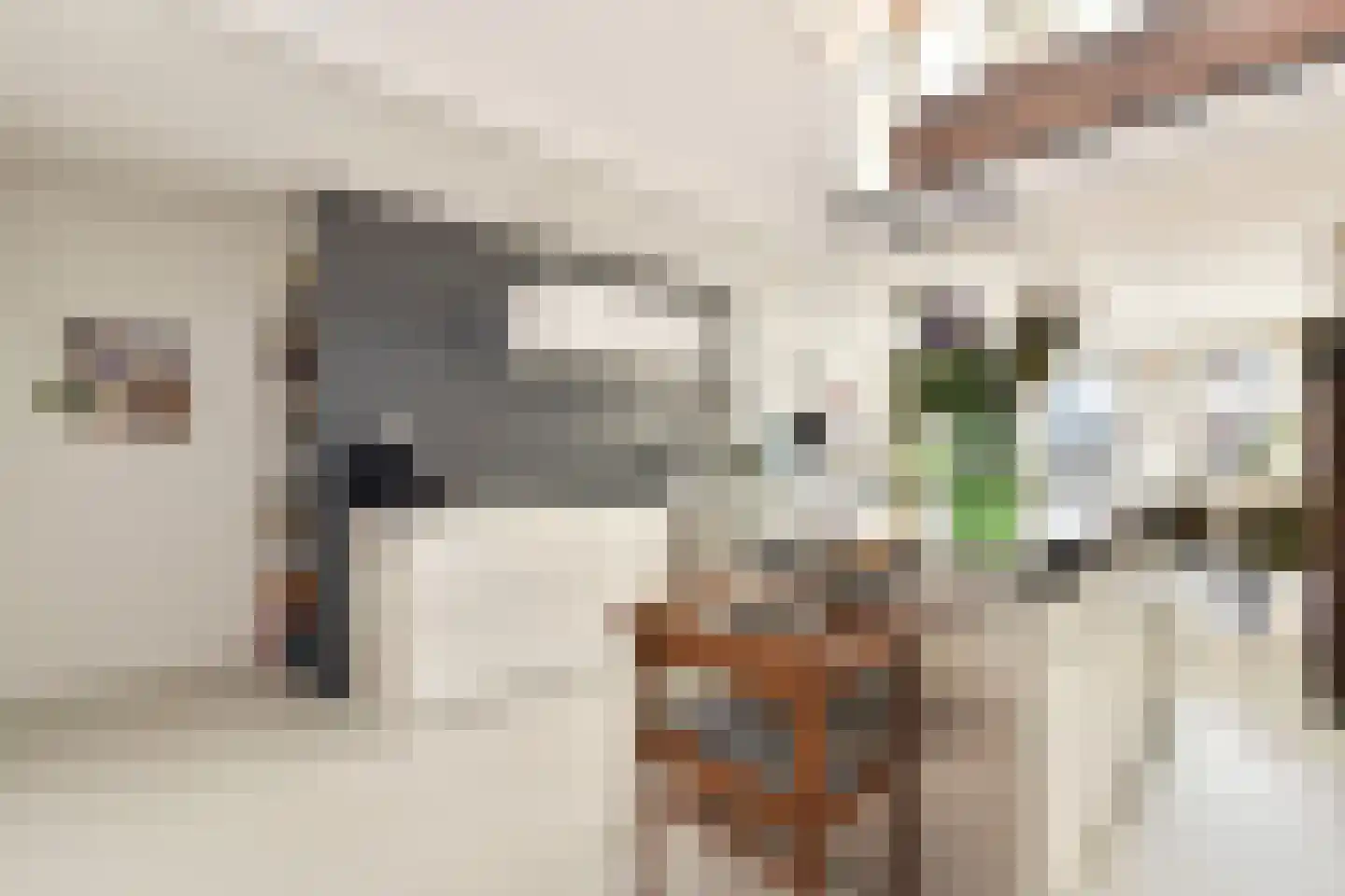 Scheepstimmermanstraat 22 Amsterdam thumbnail 9