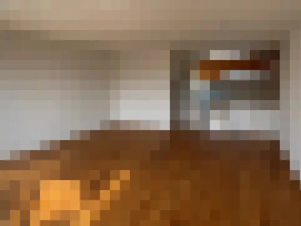 Scheepstimmermanstraat 92 Amsterdam thumbnail 4