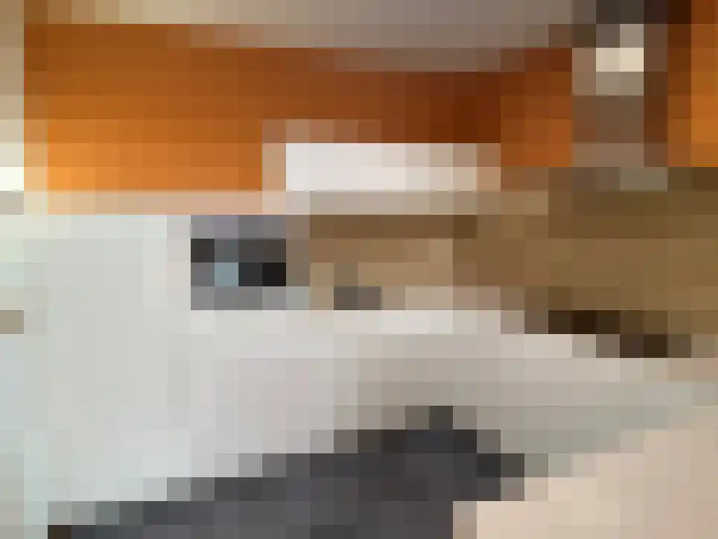 Scheepstimmermanstraat 92 Amsterdam thumbnail 6