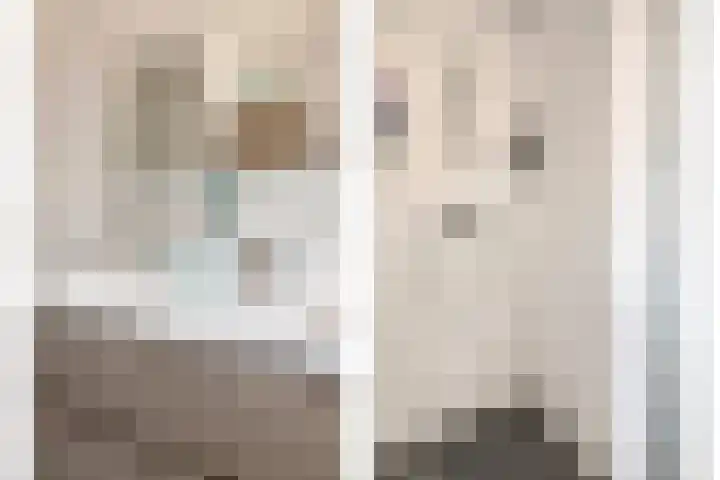 Scheepstimmerstraat 6 Goes thumbnail 21