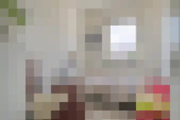 Scheepstimmerstraat 6 Goes thumbnail 25