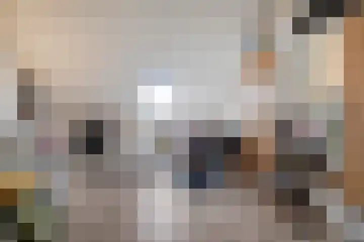 Scheepstimmerstraat 6 Goes thumbnail 26