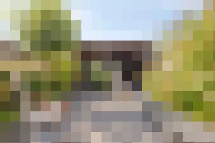 Scheepstimmerstraat 6 Goes thumbnail 31