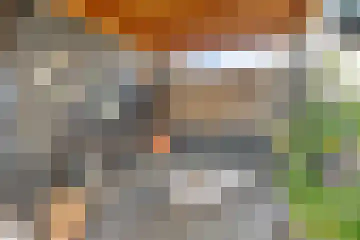 Scheepstimmerstraat 6 Goes thumbnail 34
