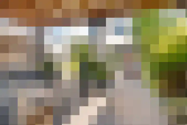Scheepstimmerstraat 6 Goes thumbnail 35