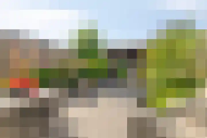 Scheepstimmerstraat 6 Goes thumbnail 4