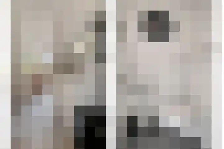 Scheepstimmerstraat 6 Goes thumbnail 9