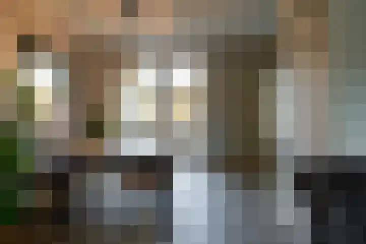 Scheepstuiger 16 Sappemeer thumbnail 13
