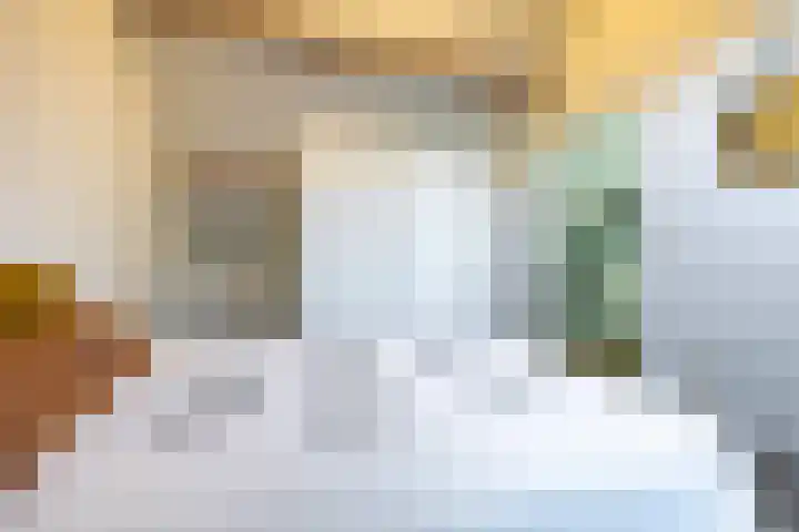 Scheepstuiger 16 Sappemeer thumbnail 37