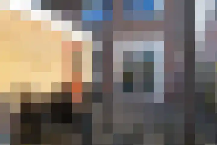 Scheepstuiger 16 Sappemeer thumbnail 43