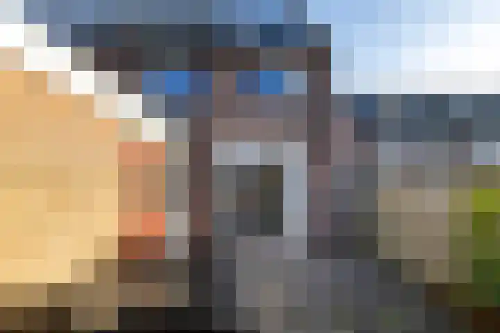 Scheepstuiger 16 Sappemeer thumbnail 44