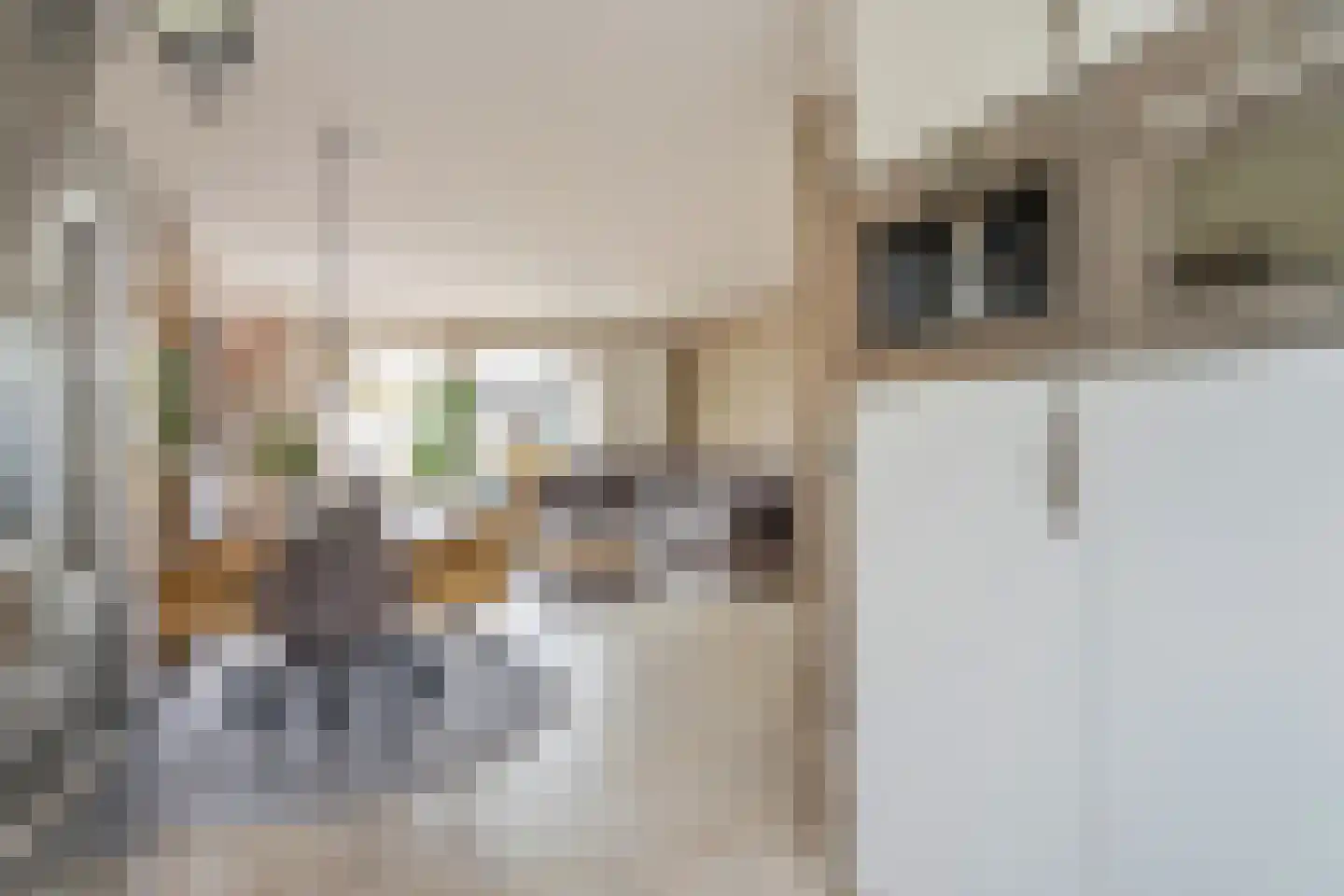 Scheepswerf 14 Leidschendam thumbnail 6