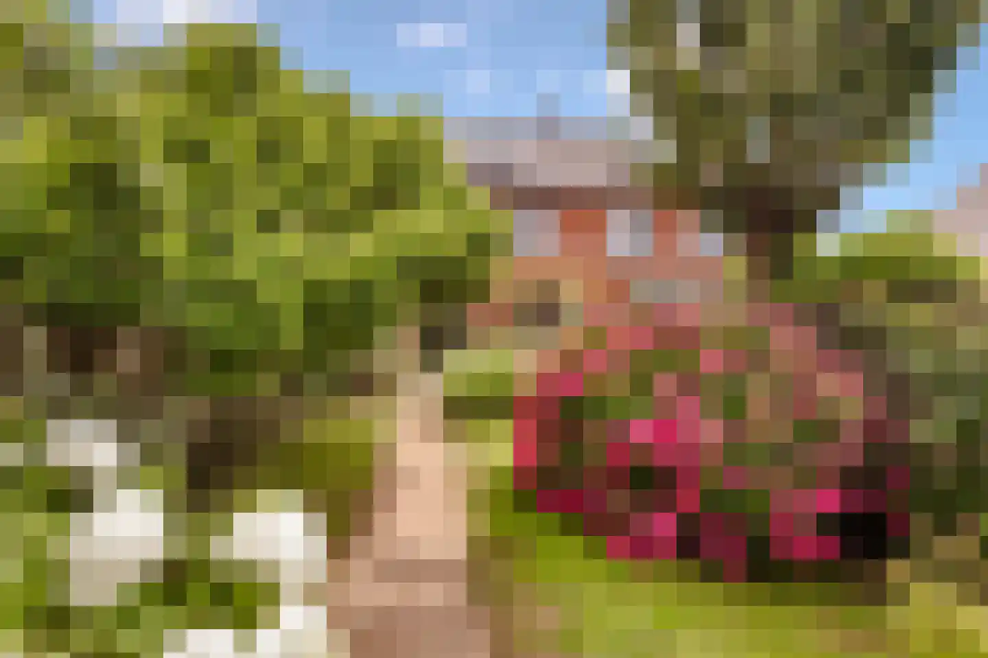 Scheepswerf 19 Huizen thumbnail 29