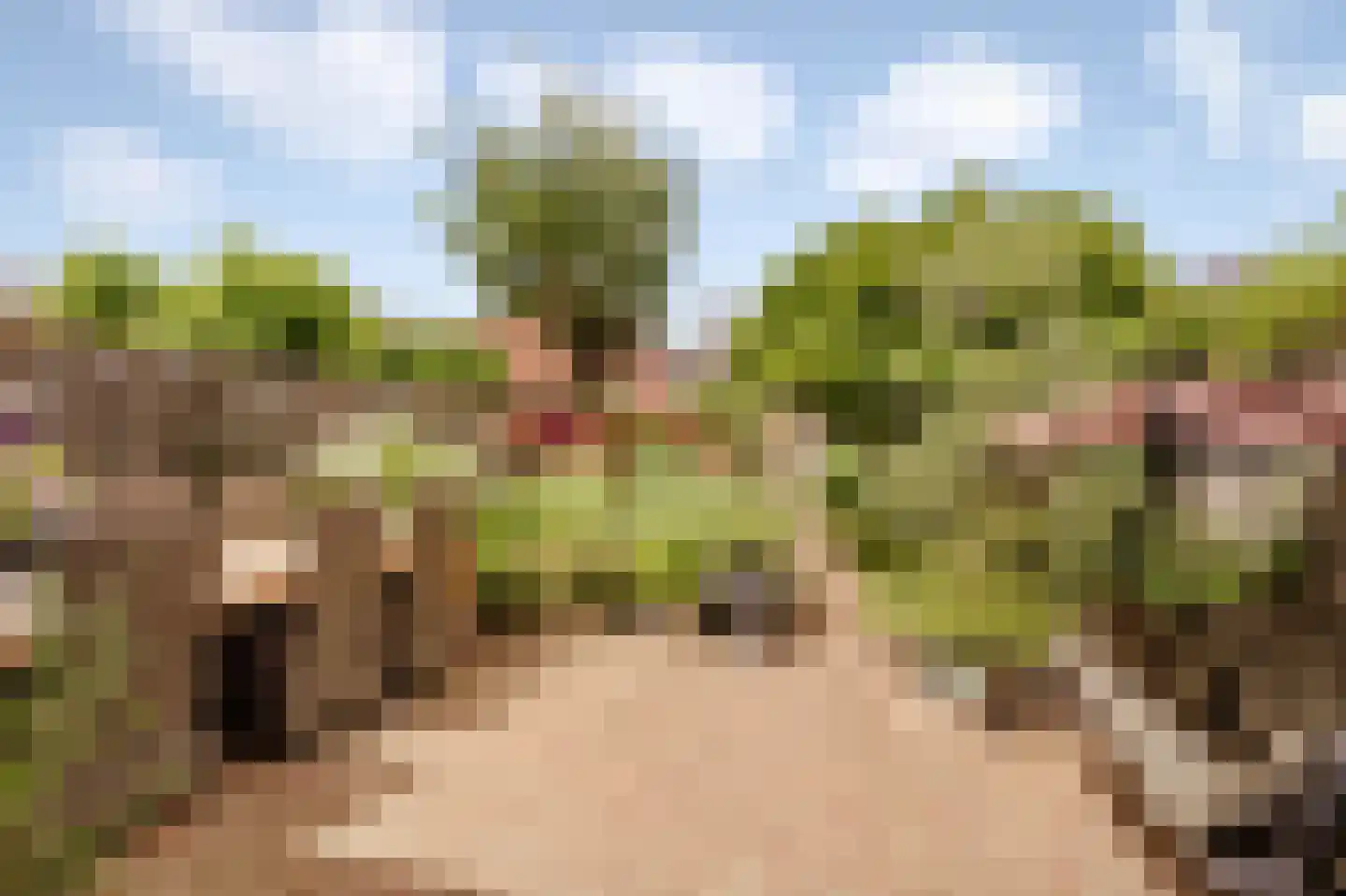Scheepswerf 19 Huizen thumbnail 30