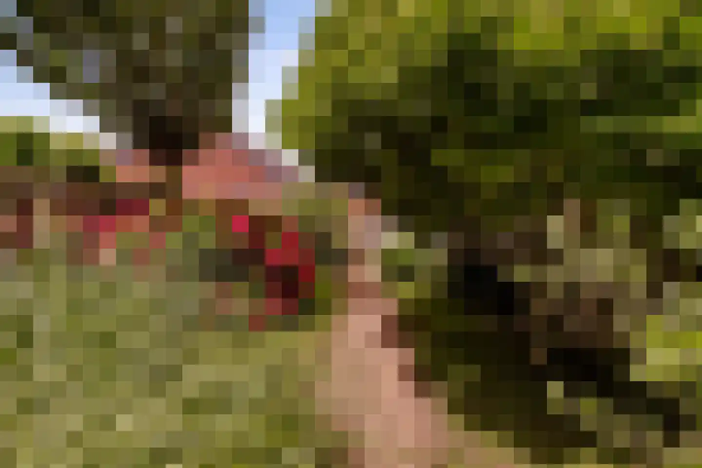 Scheepswerf 19 Huizen thumbnail 31