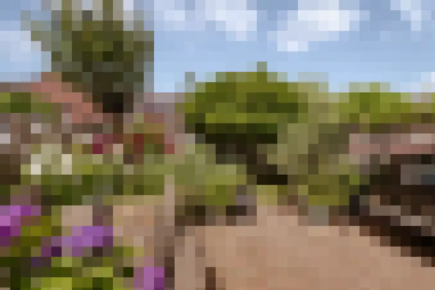Scheepswerf 19 Huizen thumbnail 32