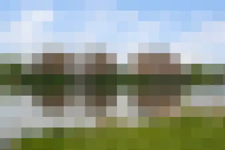 Scheepswerf 304 Nieuw-Beijerland thumbnail 41