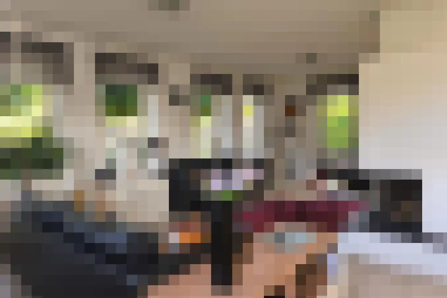 Scheepswerfkade 1 Stadskanaal thumbnail 4