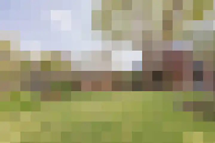 Scheepswerflaan 18 Raamsdonksveer thumbnail 12