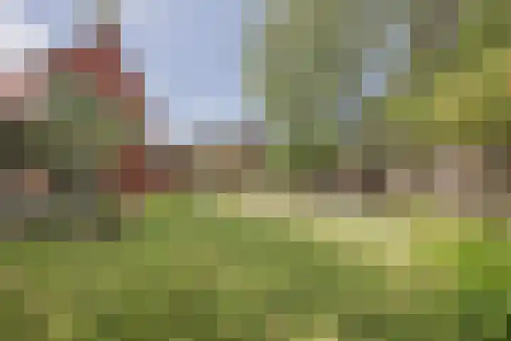 Scheepswerflaan 18 Raamsdonksveer thumbnail 13