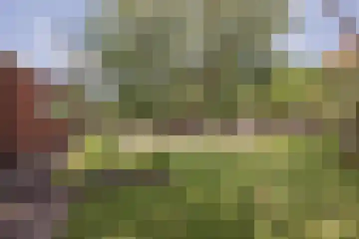 Scheepswerflaan 18 Raamsdonksveer thumbnail 14
