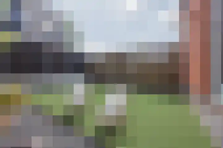Scheepswerflaan 18 Raamsdonksveer thumbnail 18